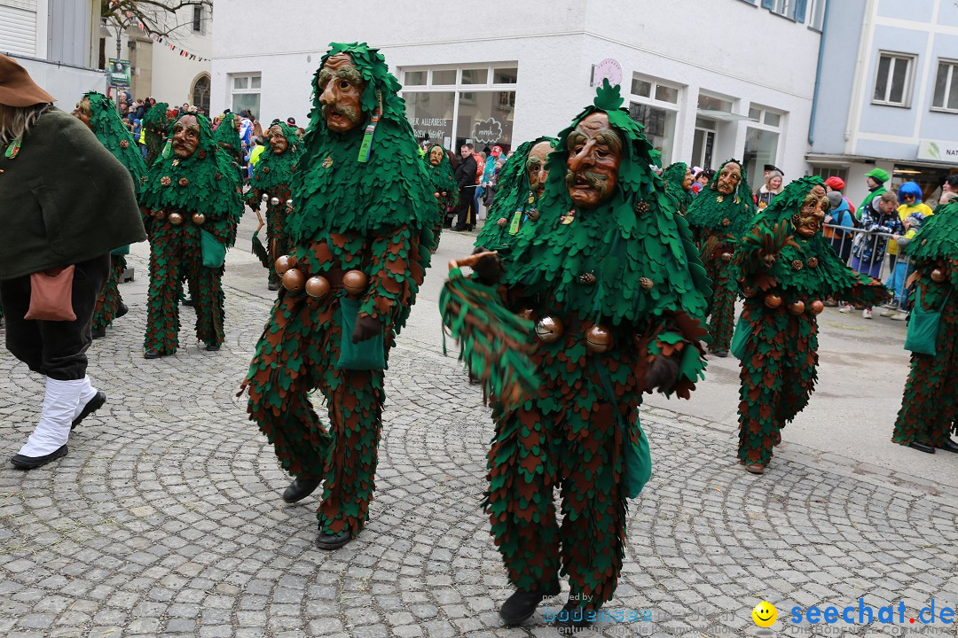 Rosenmontagsumzug - Narrensprung: Ravensburg, 12.02.2024