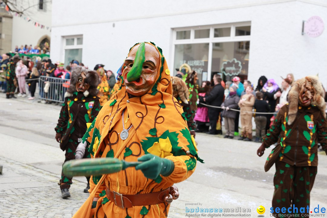 Rosenmontagsumzug - Narrensprung: Ravensburg, 12.02.2024