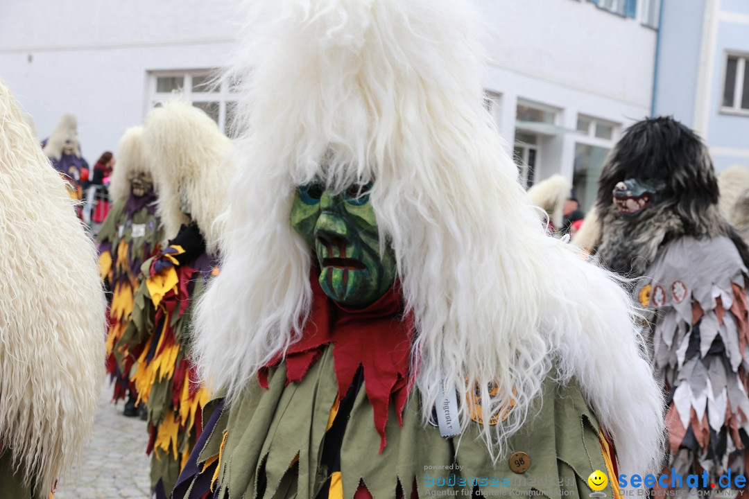 Rosenmontagsumzug - Narrensprung: Ravensburg, 12.02.2024