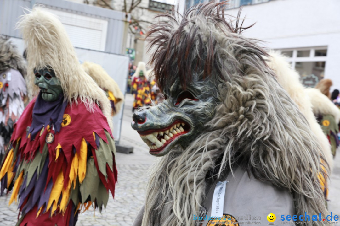 Rosenmontagsumzug - Narrensprung: Ravensburg, 12.02.2024