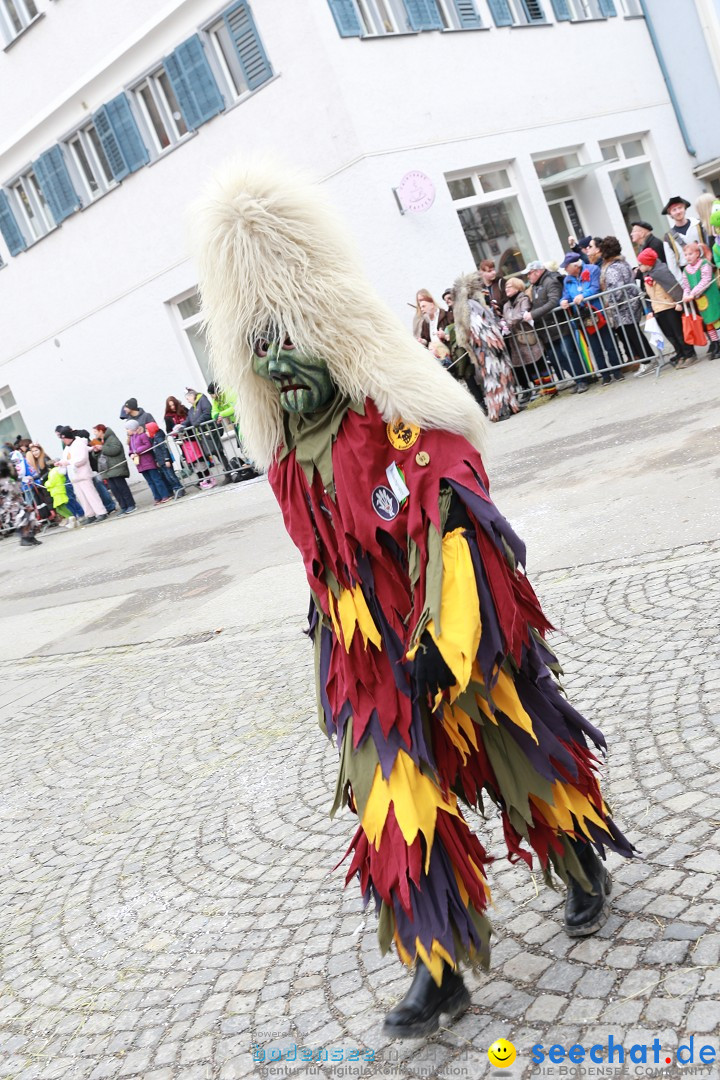 Rosenmontagsumzug - Narrensprung: Ravensburg, 12.02.2024