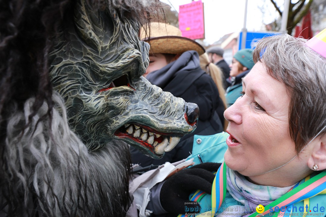 Rosenmontagsumzug - Narrensprung: Ravensburg, 12.02.2024