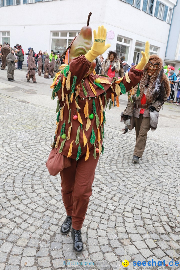 Rosenmontagsumzug - Narrensprung: Ravensburg, 12.02.2024