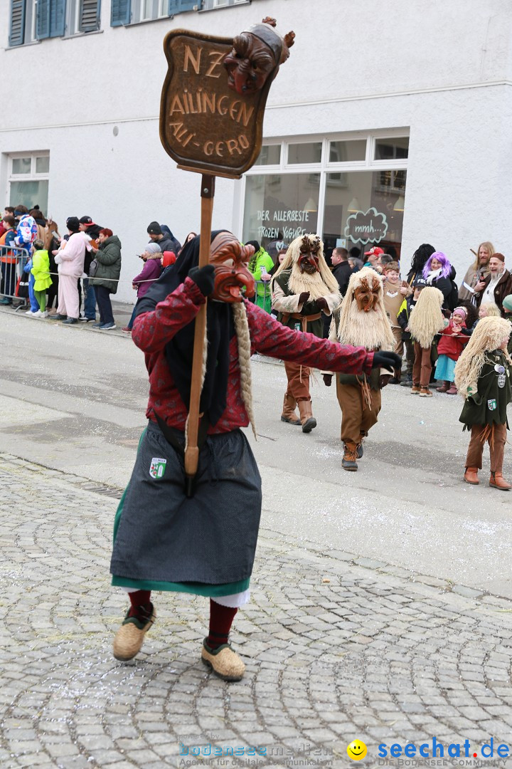 Rosenmontagsumzug - Narrensprung: Ravensburg, 12.02.2024