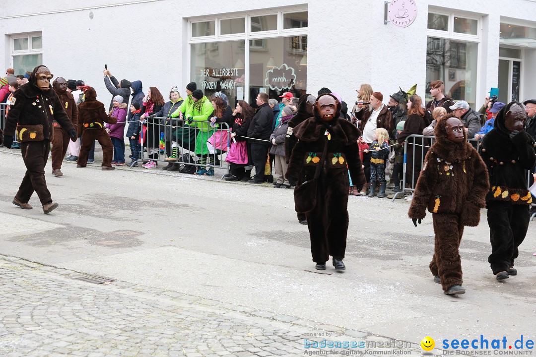 Rosenmontagsumzug - Narrensprung: Ravensburg, 12.02.2024