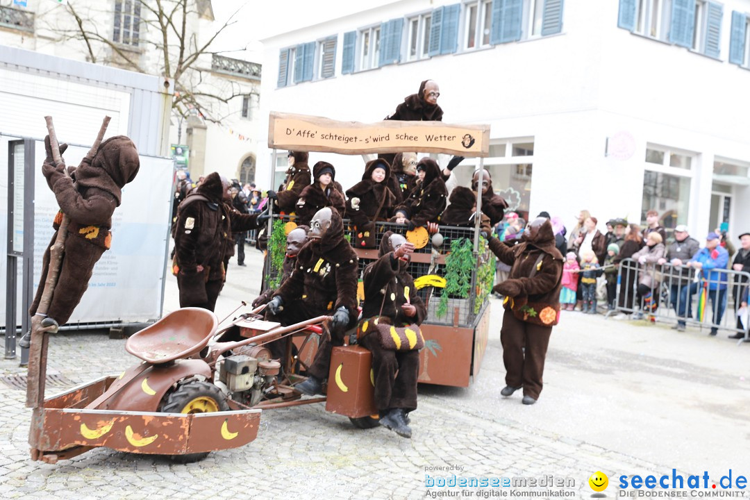 Rosenmontagsumzug - Narrensprung: Ravensburg, 12.02.2024