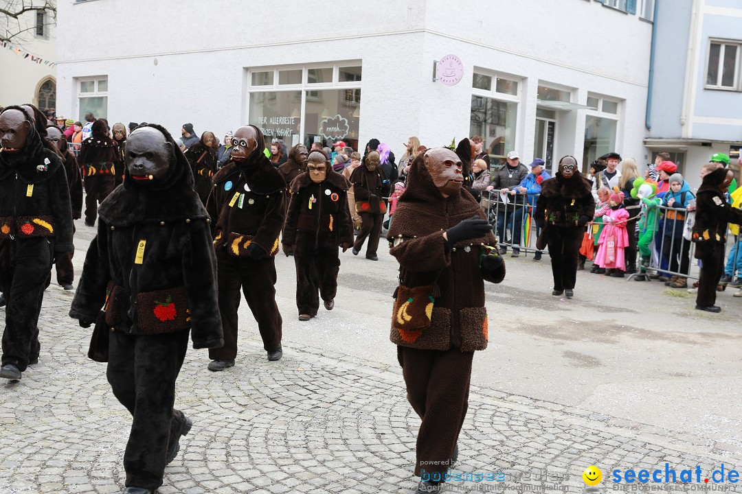 Rosenmontagsumzug - Narrensprung: Ravensburg, 12.02.2024