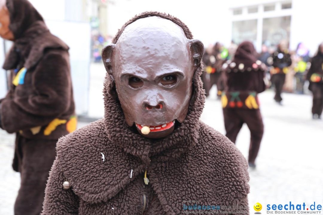 Rosenmontagsumzug - Narrensprung: Ravensburg, 12.02.2024