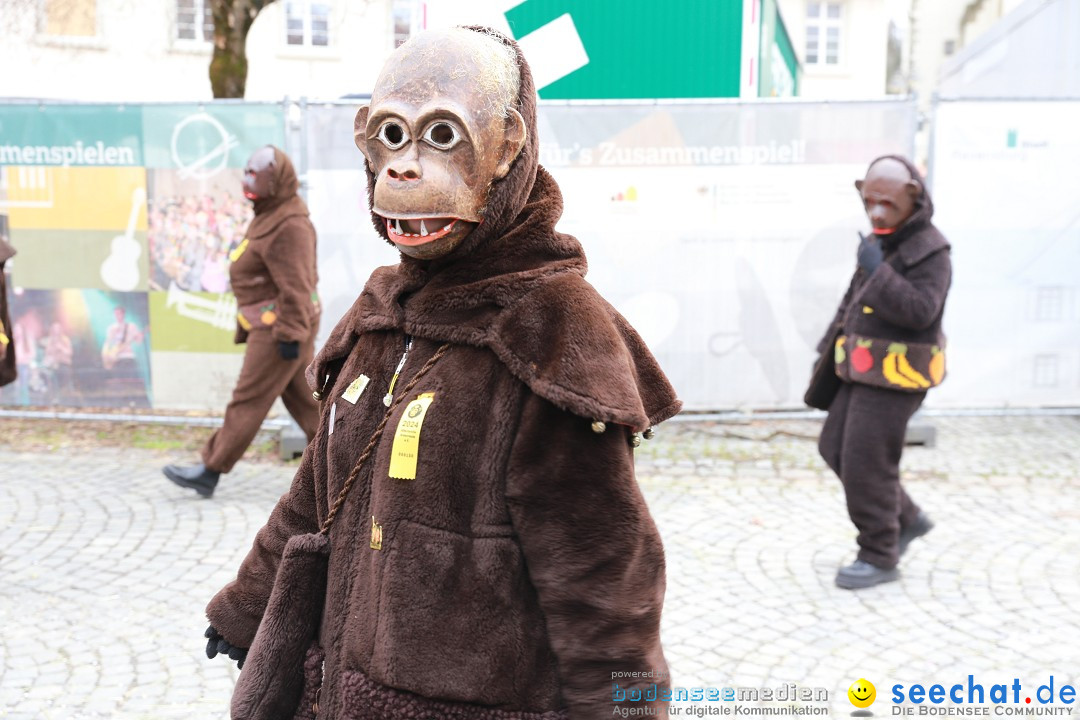 Rosenmontagsumzug - Narrensprung: Ravensburg, 12.02.2024