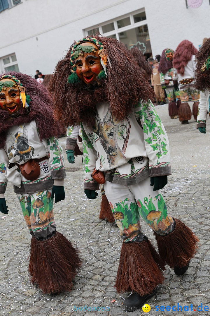 Rosenmontagsumzug - Narrensprung: Ravensburg, 12.02.2024