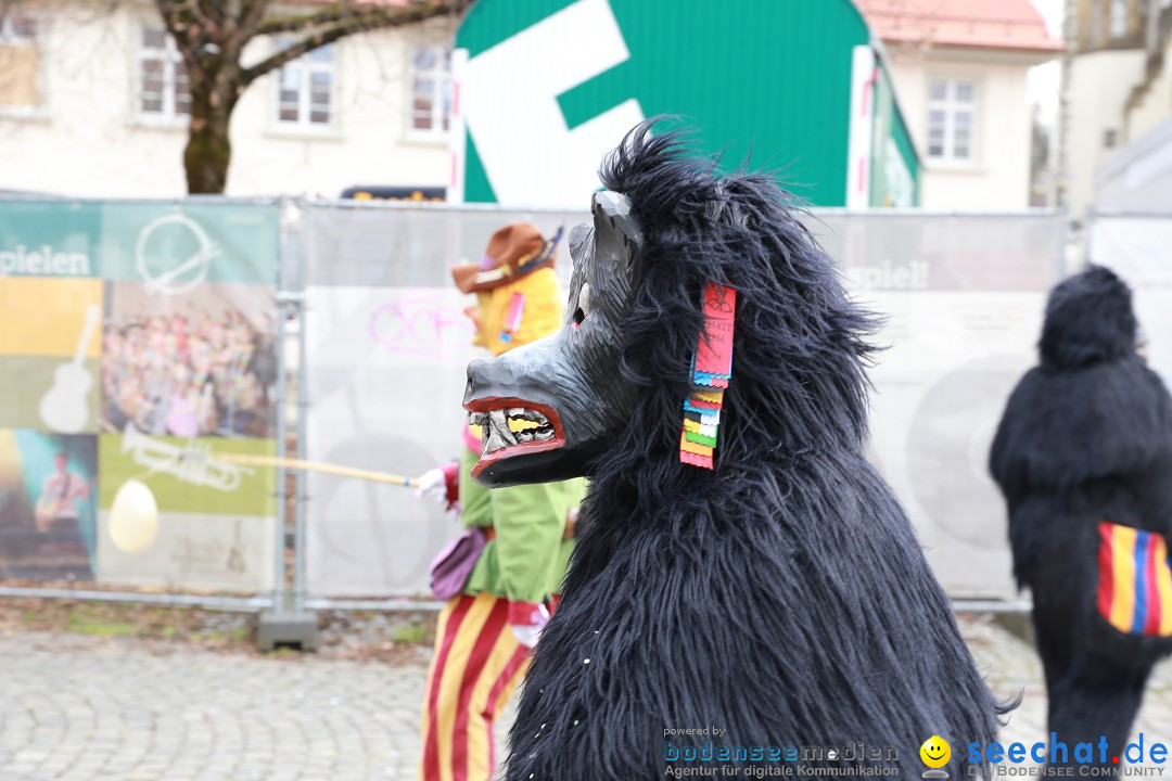 Rosenmontagsumzug - Narrensprung: Ravensburg, 12.02.2024