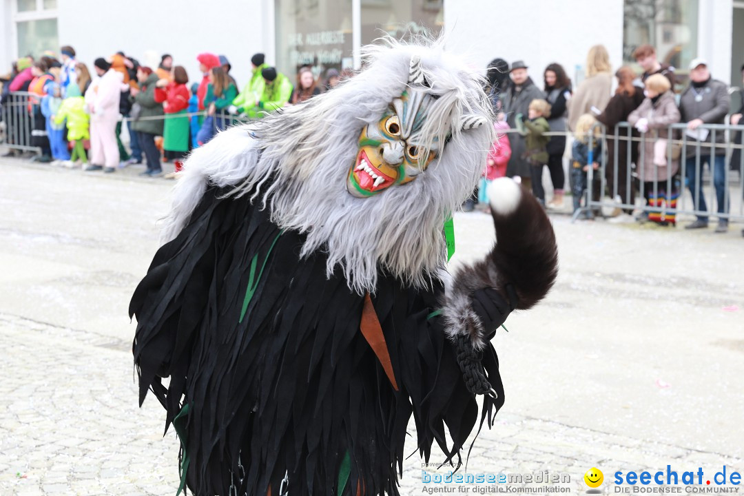 Rosenmontagsumzug - Narrensprung: Ravensburg, 12.02.2024