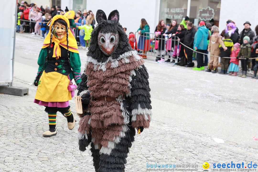 Rosenmontagsumzug - Narrensprung: Ravensburg, 12.02.2024