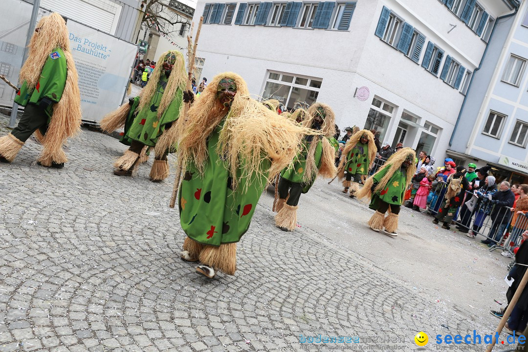 Rosenmontagsumzug - Narrensprung: Ravensburg, 12.02.2024