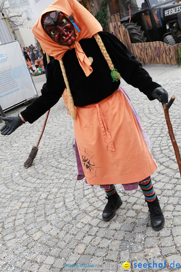 Rosenmontagsumzug - Narrensprung: Ravensburg, 12.02.2024