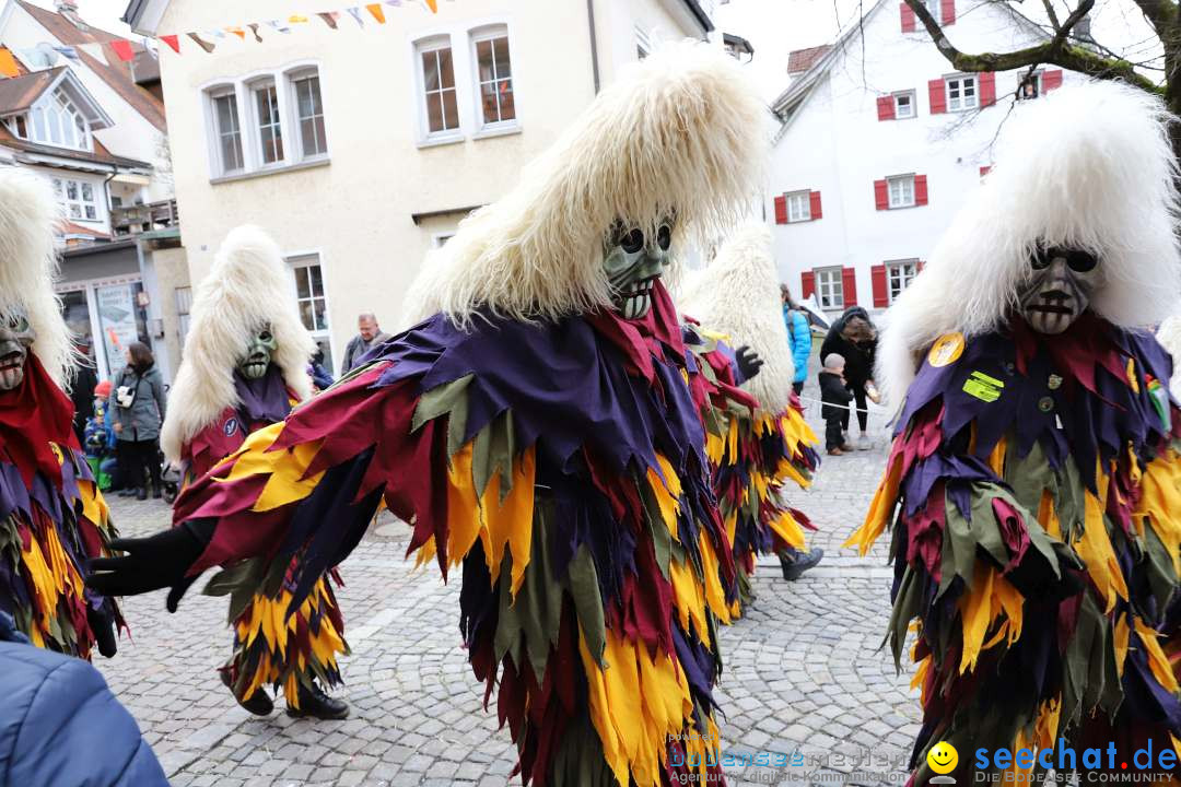 Rosenmontagsumzug - Narrensprung: Ravensburg, 12.02.2024