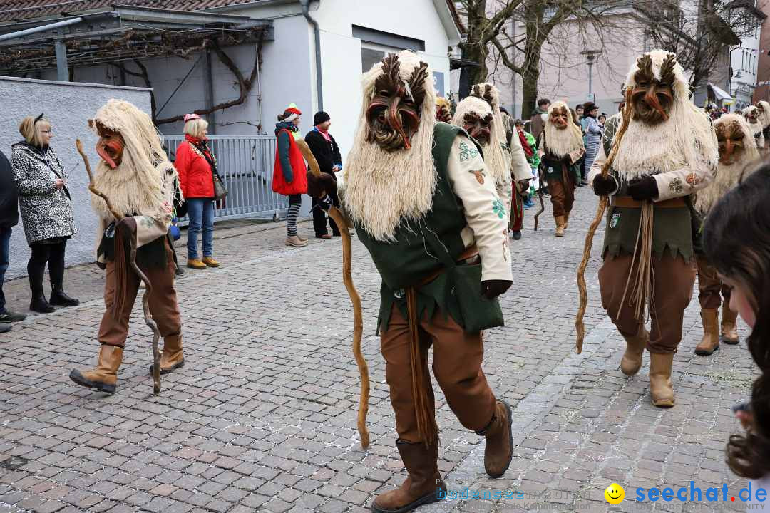 Rosenmontagsumzug - Narrensprung: Ravensburg, 12.02.2024