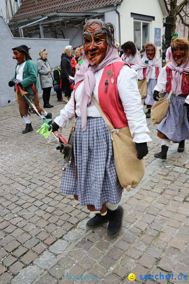 Rosenmontagsumzug - Narrensprung: Ravensburg, 12.02.2024