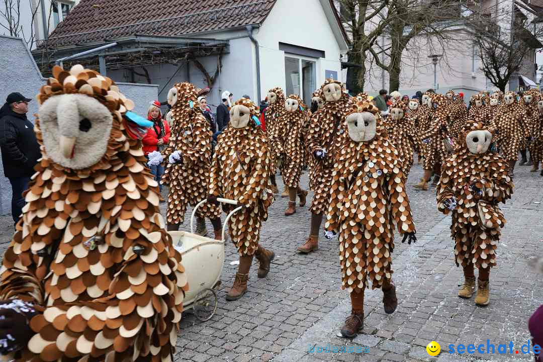 Rosenmontagsumzug - Narrensprung: Ravensburg, 12.02.2024