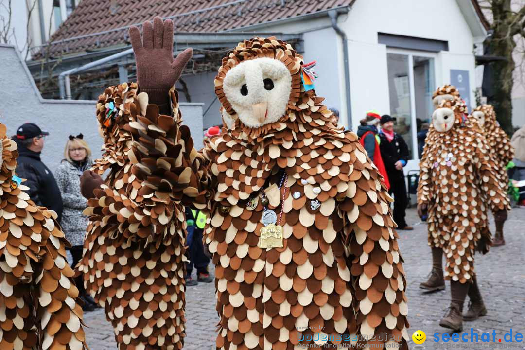 Rosenmontagsumzug - Narrensprung: Ravensburg, 12.02.2024