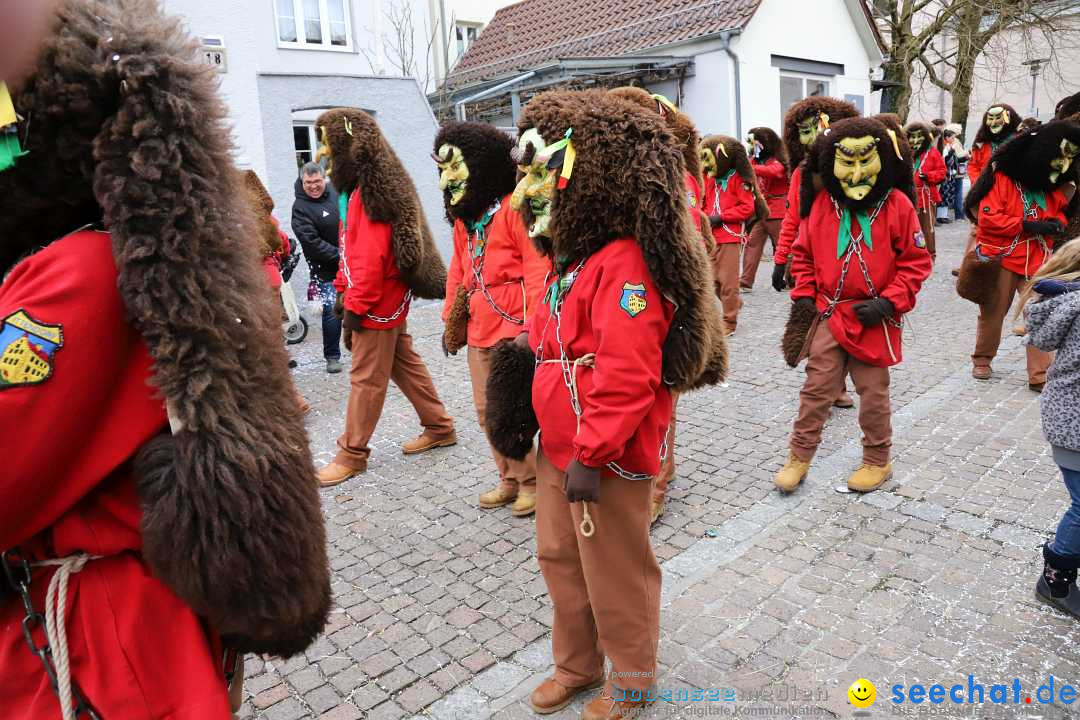 Rosenmontagsumzug - Narrensprung: Ravensburg, 12.02.2024