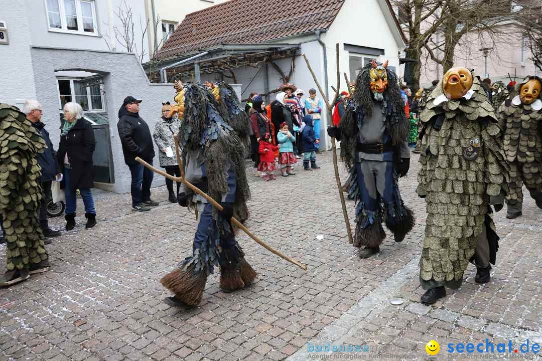 Rosenmontagsumzug - Narrensprung: Ravensburg, 12.02.2024