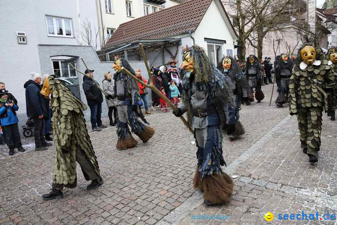 Rosenmontagsumzug - Narrensprung: Ravensburg, 12.02.2024