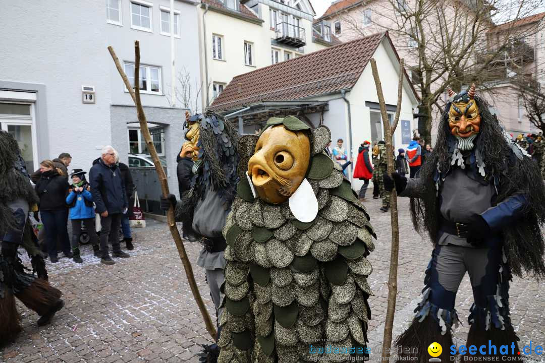 Rosenmontagsumzug - Narrensprung: Ravensburg, 12.02.2024