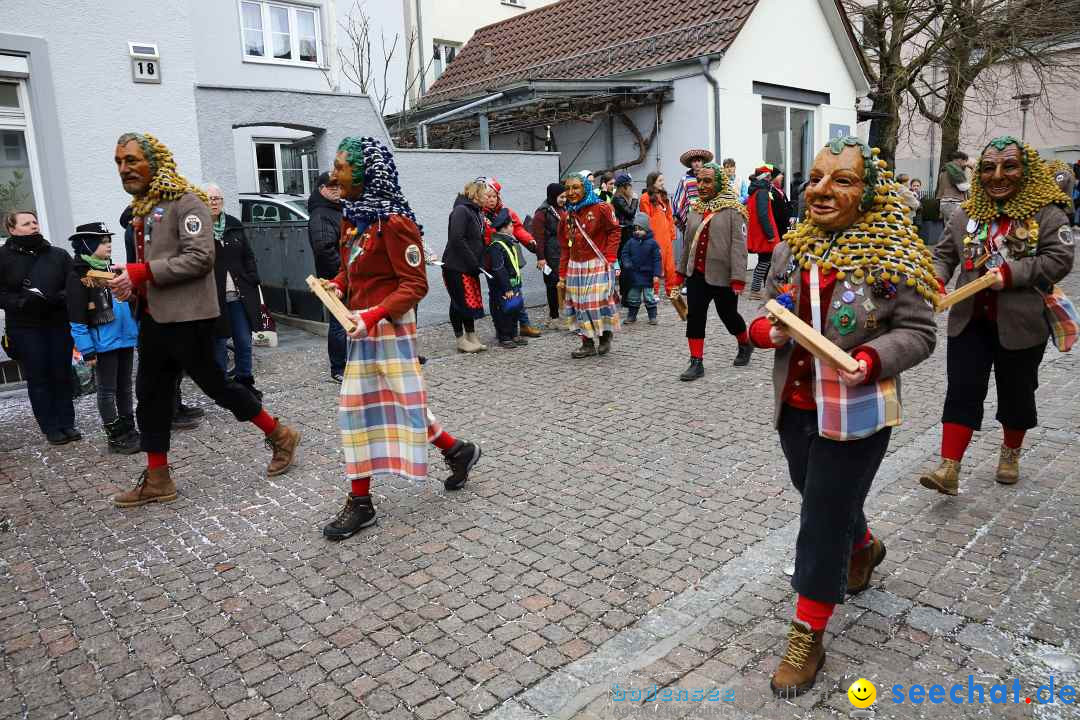 Rosenmontagsumzug - Narrensprung: Ravensburg, 12.02.2024