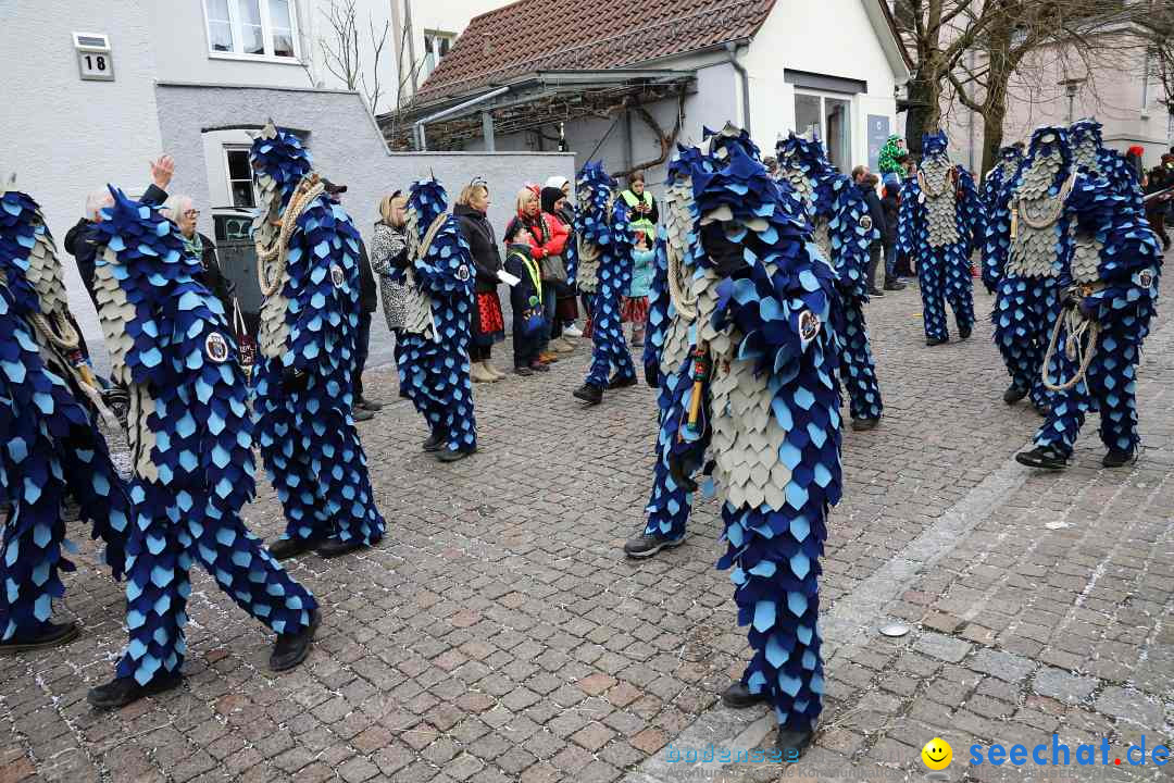 Rosenmontagsumzug - Narrensprung: Ravensburg, 12.02.2024