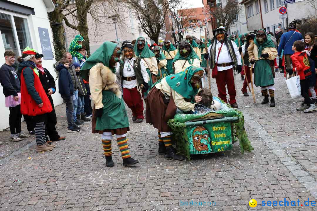 Rosenmontagsumzug - Narrensprung: Ravensburg, 12.02.2024