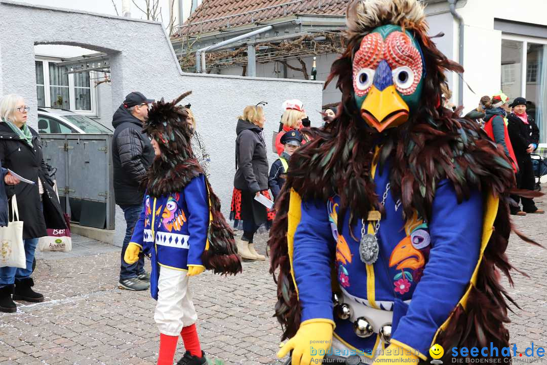 Rosenmontagsumzug - Narrensprung: Ravensburg, 12.02.2024