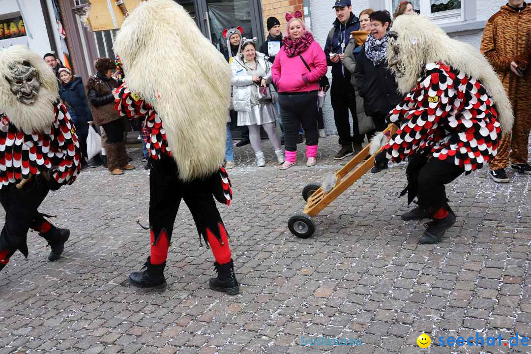 Rosenmontagsumzug - Narrensprung: Ravensburg, 12.02.2024