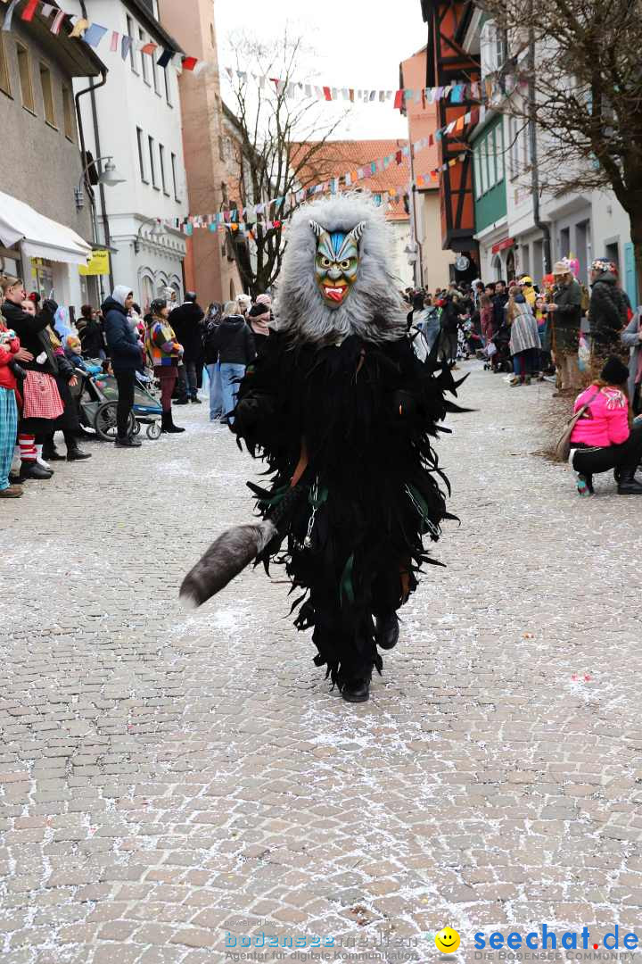 Rosenmontagsumzug - Narrensprung: Ravensburg, 12.02.2024