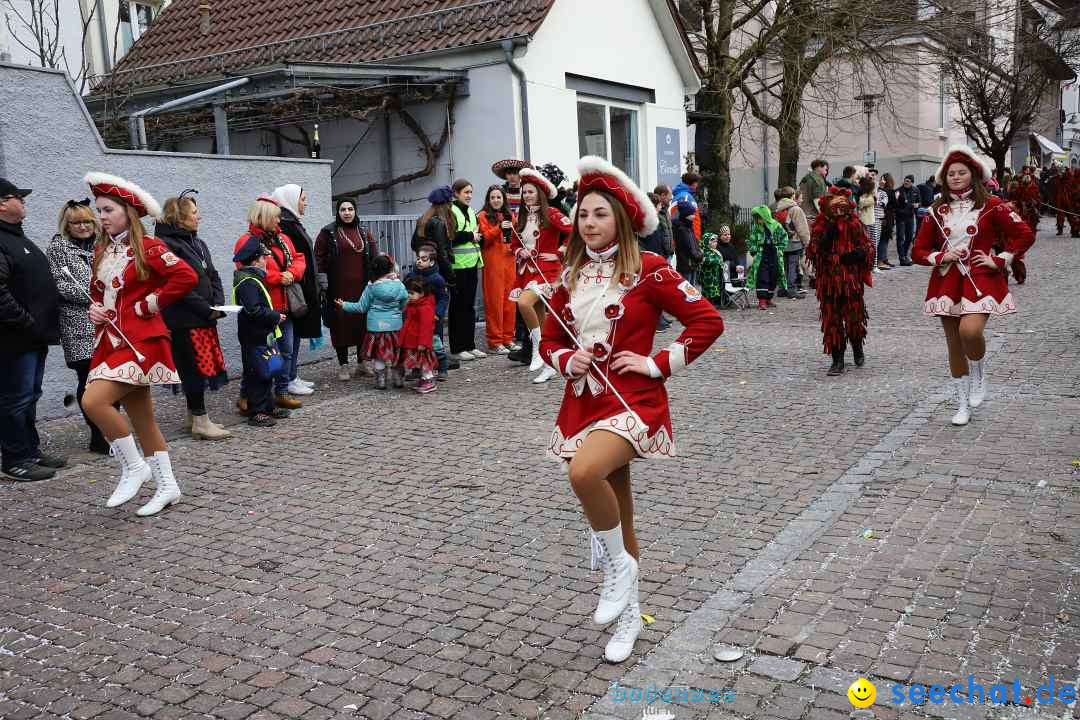 Rosenmontagsumzug - Narrensprung: Ravensburg, 12.02.2024