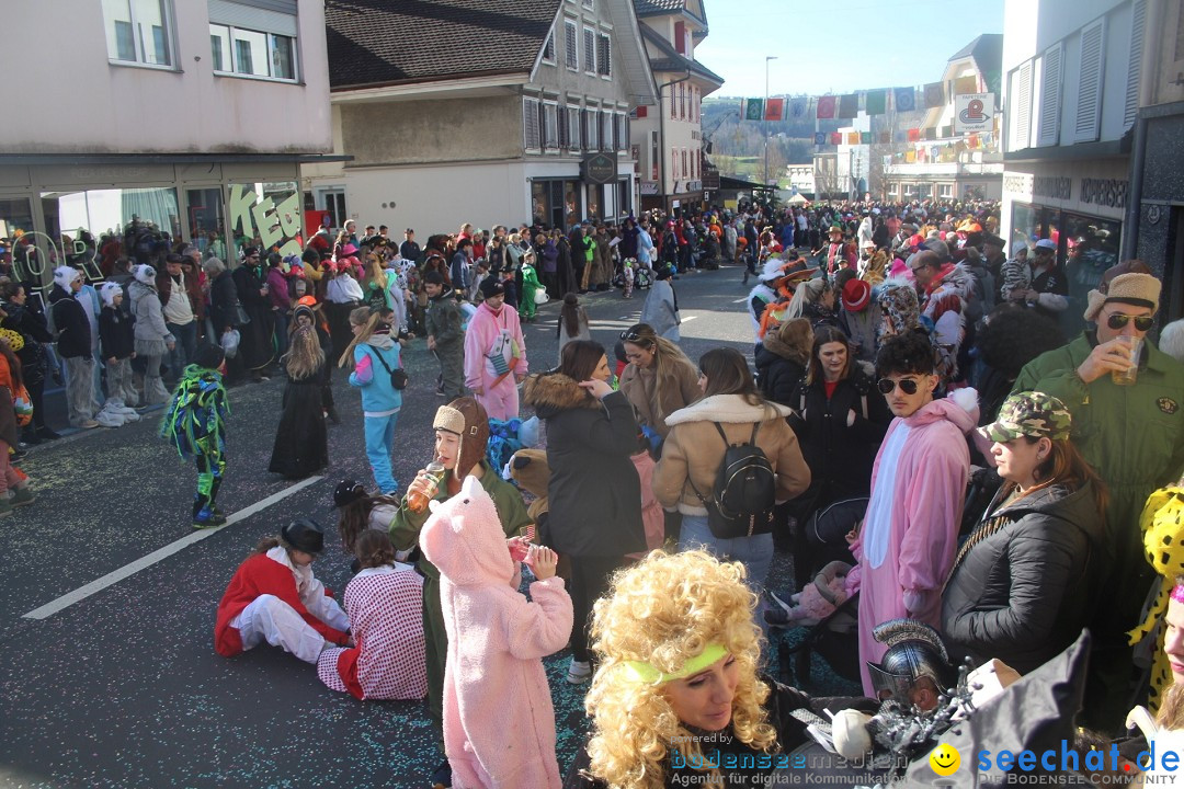 Fasnachtsumzug - Hochdorf - Schweiz, 13.02.2024