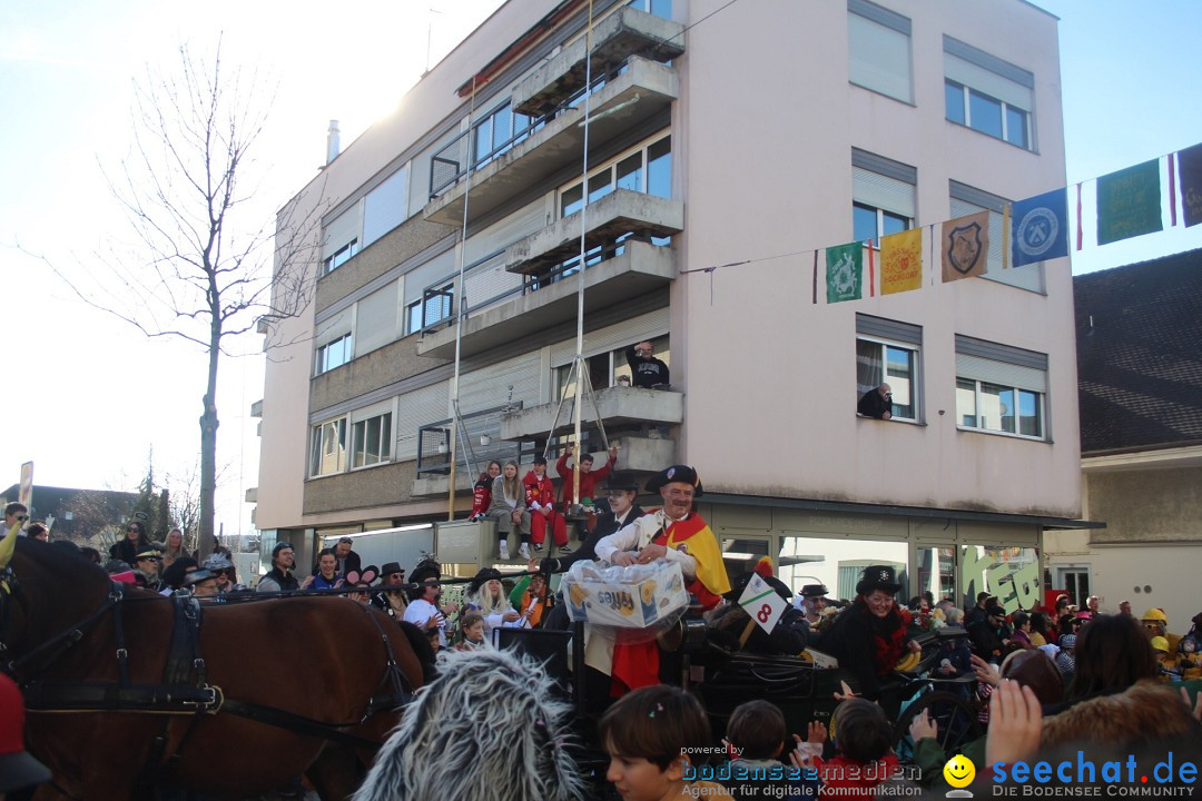 Fasnachtsumzug - Hochdorf - Schweiz, 13.02.2024