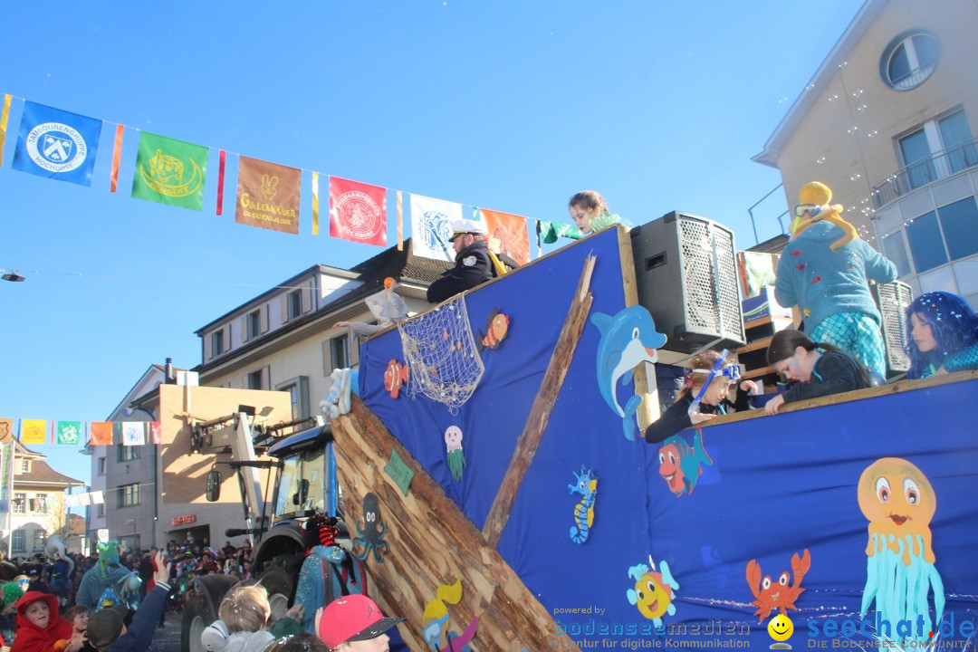 Fasnachtsumzug - Hochdorf - Schweiz, 13.02.2024