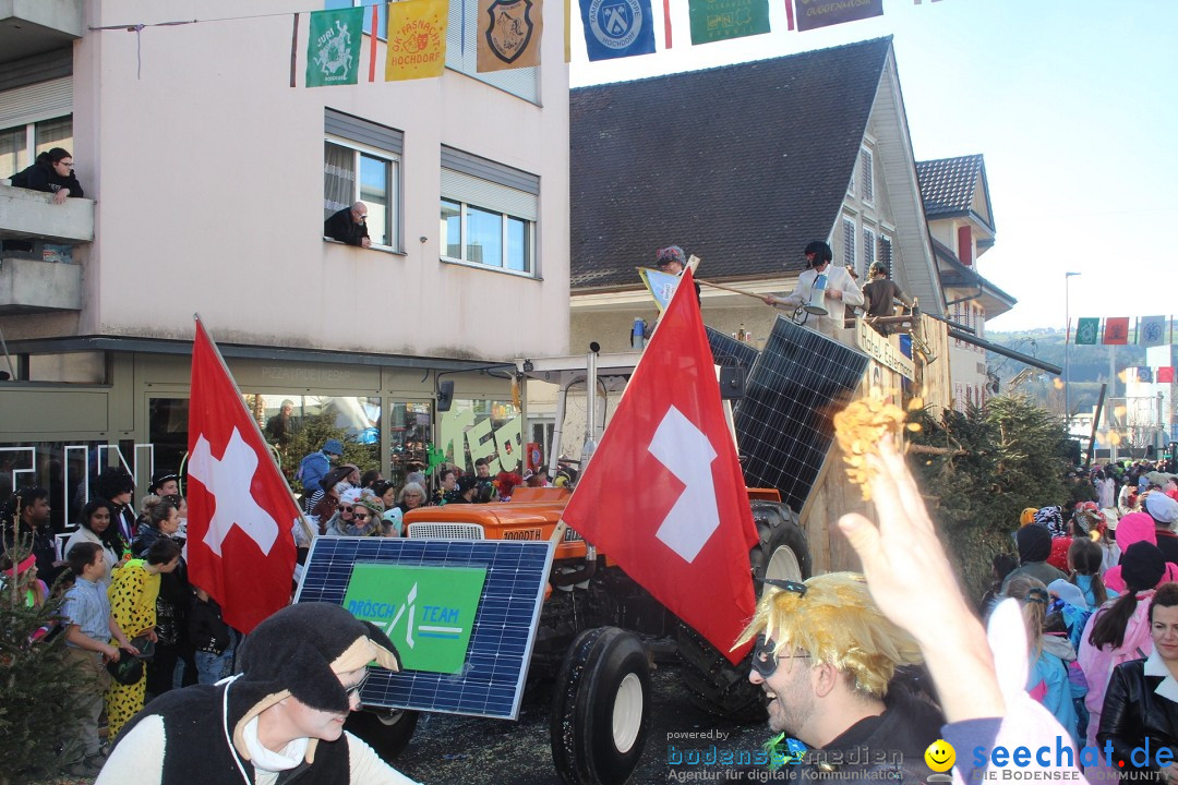 Fasnachtsumzug - Hochdorf - Schweiz, 13.02.2024