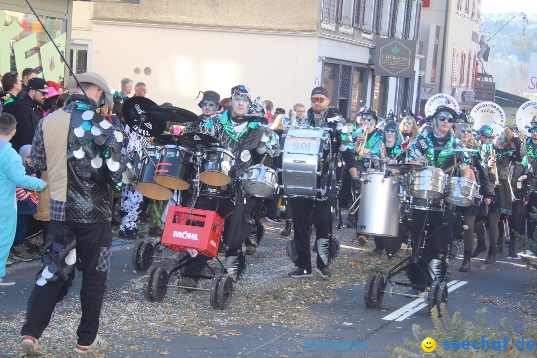 Fasnachtsumzug - Hochdorf - Schweiz, 13.02.2024