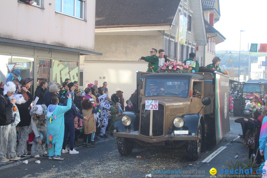 Fasnachtsumzug - Hochdorf - Schweiz, 13.02.2024