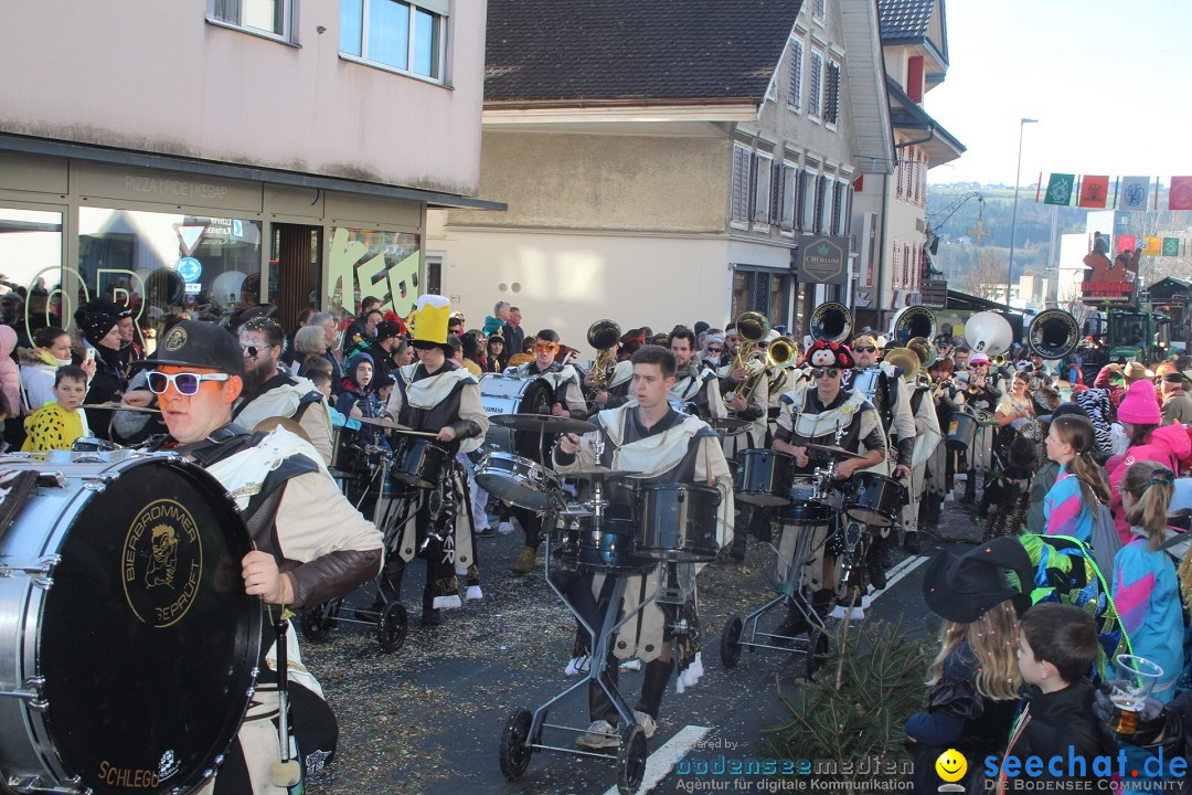 Fasnachtsumzug - Hochdorf - Schweiz, 13.02.2024