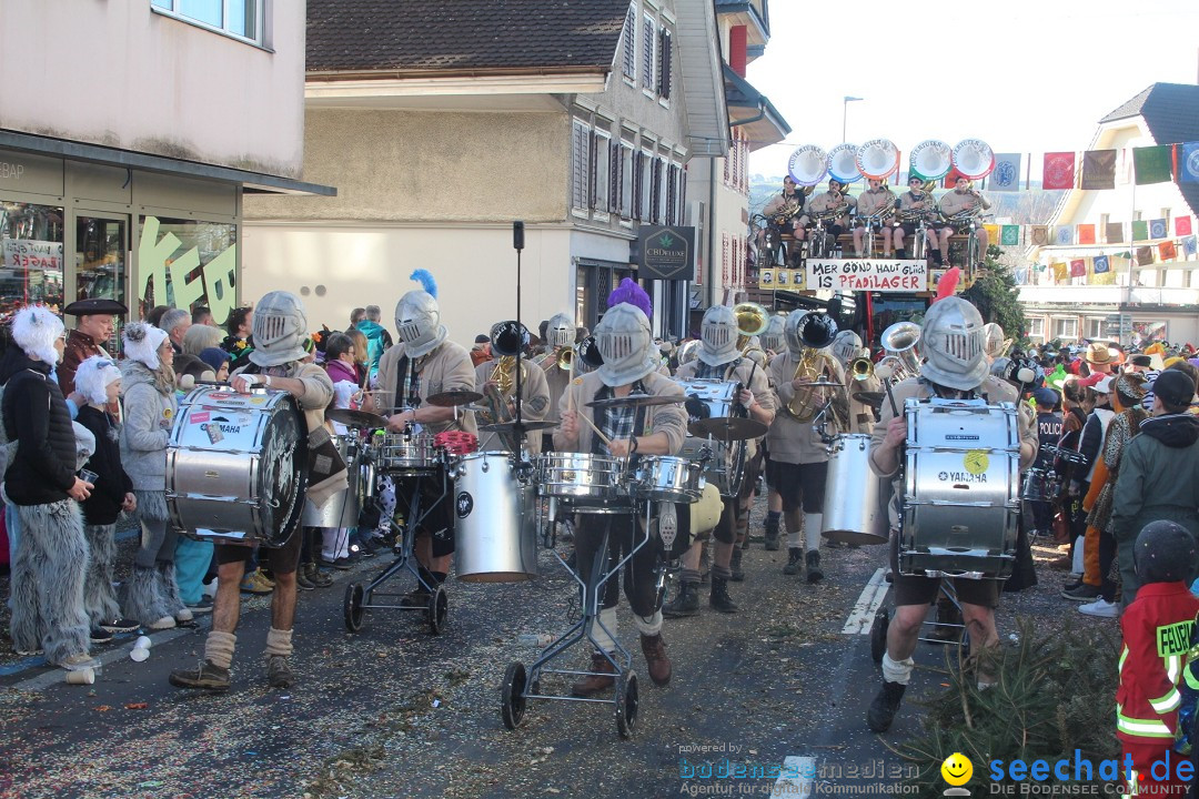 Fasnachtsumzug - Hochdorf - Schweiz, 13.02.2024