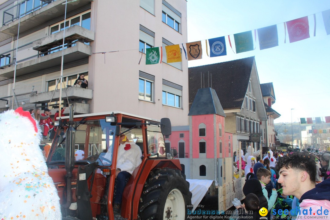 Fasnachtsumzug - Hochdorf - Schweiz, 13.02.2024