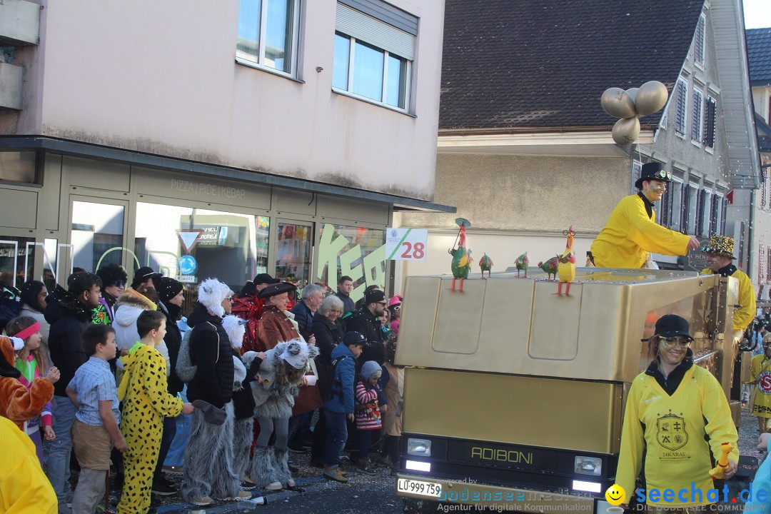 Fasnachtsumzug - Hochdorf - Schweiz, 13.02.2024