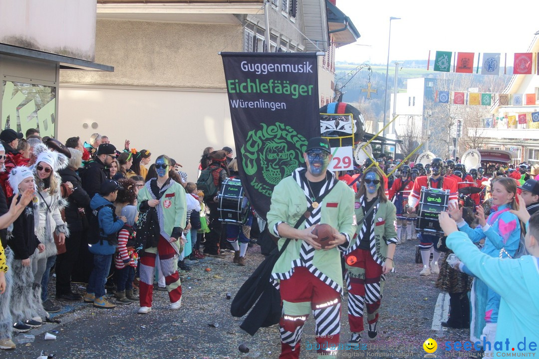 Fasnachtsumzug - Hochdorf - Schweiz, 13.02.2024