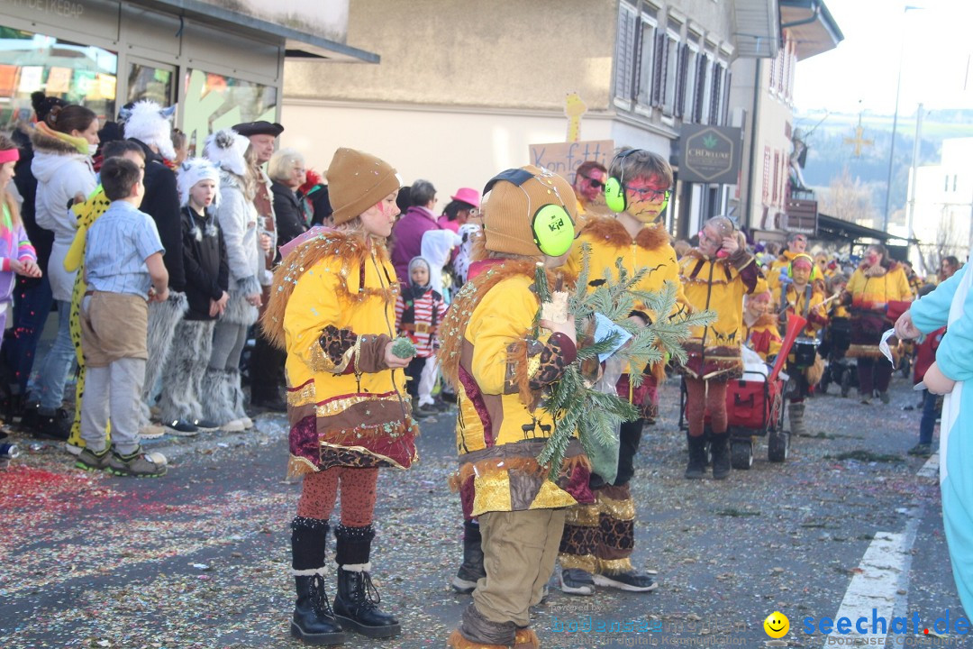 Fasnachtsumzug - Hochdorf - Schweiz, 13.02.2024