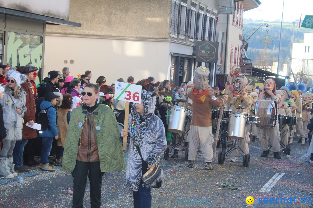 Fasnachtsumzug - Hochdorf - Schweiz, 13.02.2024