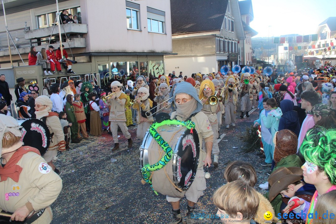 Fasnachtsumzug - Hochdorf - Schweiz, 13.02.2024