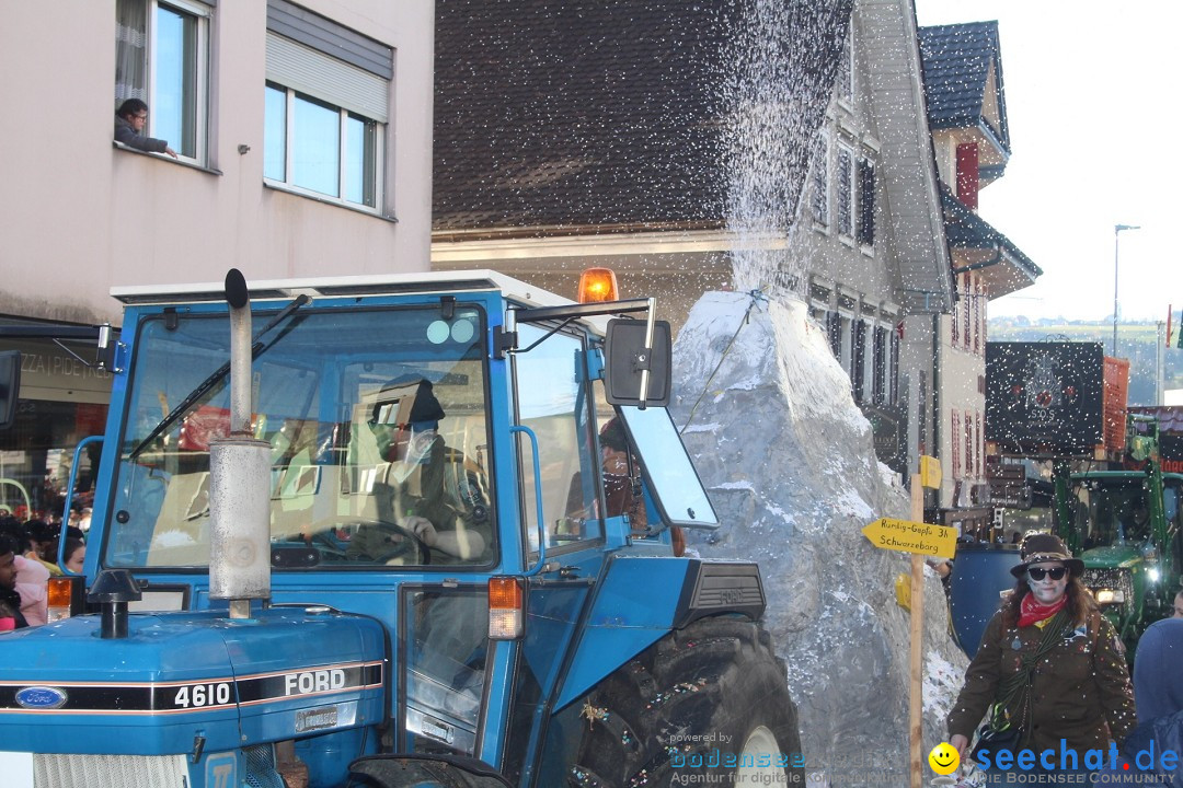 Fasnachtsumzug - Hochdorf - Schweiz, 13.02.2024